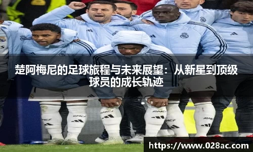 星空.综合体育官网