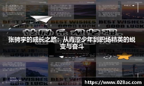 星空综合(中国)官方网站