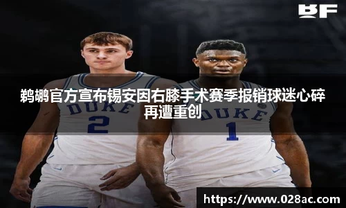 星空综合(中国)官方网站