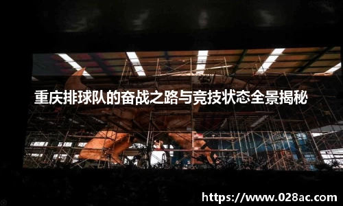 星空综合(中国)官方网站