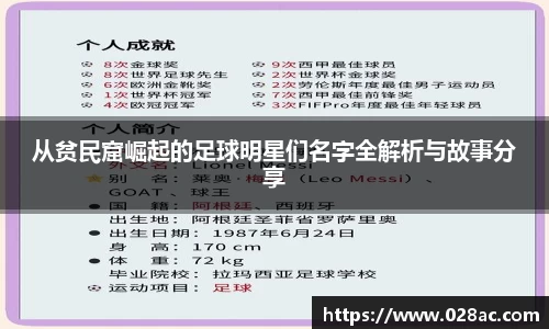 星空.综合体育官网