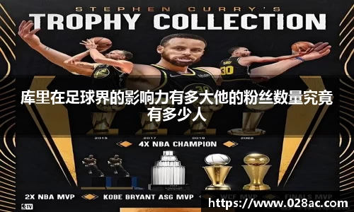 星空.综合体育官网