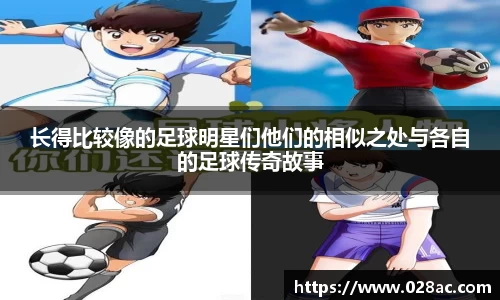 星空.综合体育官网