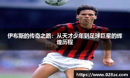 星空.综合体育官网