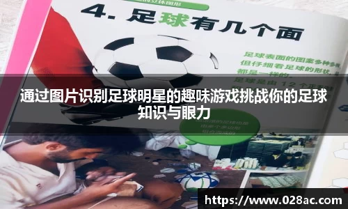 星空.综合体育官网